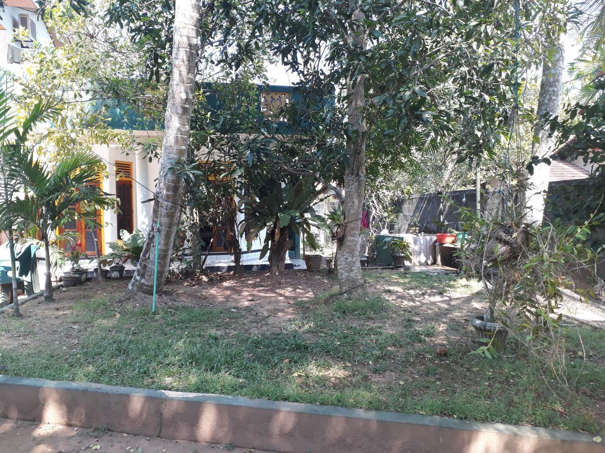 Guesthouse Sunshine Aluthgama Exteriör bild